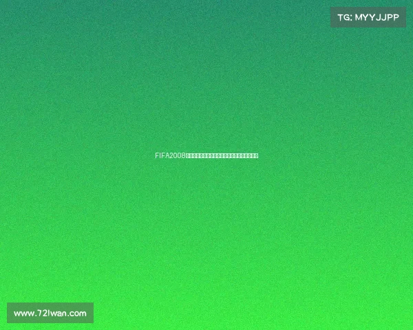 FIFA2008世界杯模式重燃绿茵激情经典赛季全新挑战开启 FIFA2008世界杯模式重燃绿茵激情经典赛季全新挑战开启